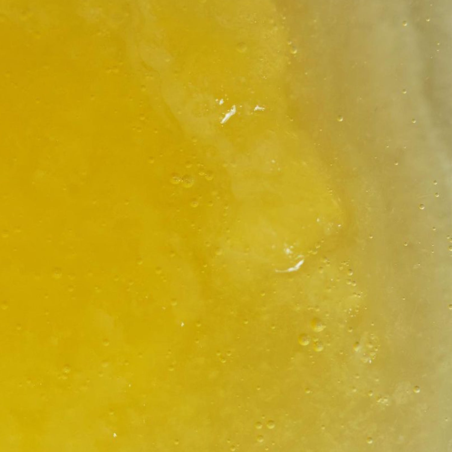 Oily Skin