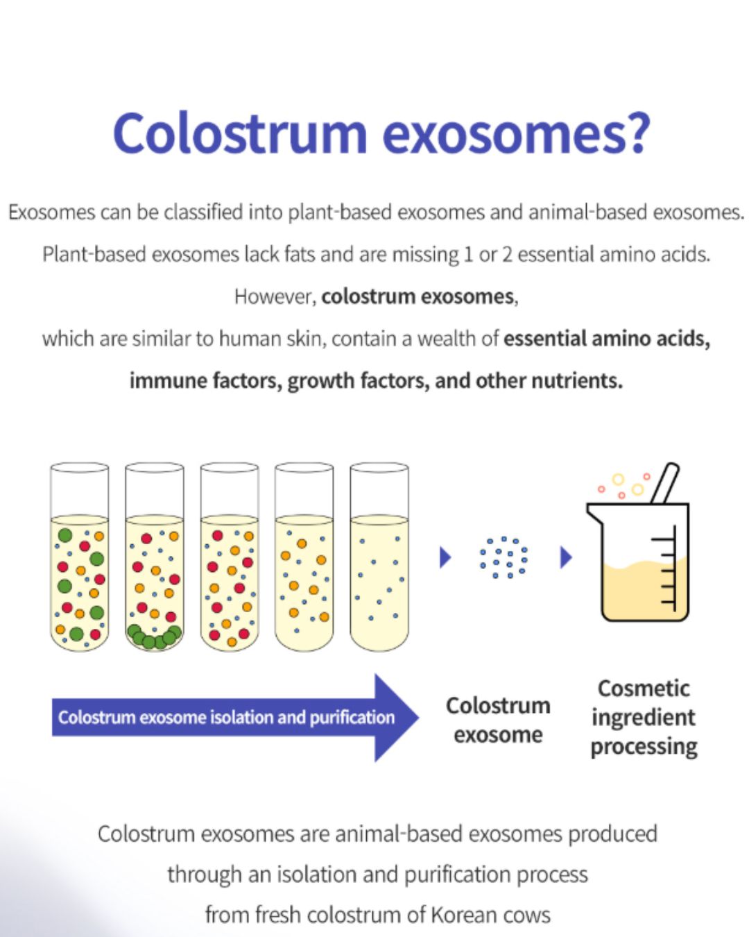 Dermaline D'LEXO Milk Exosome Solution Ampoule