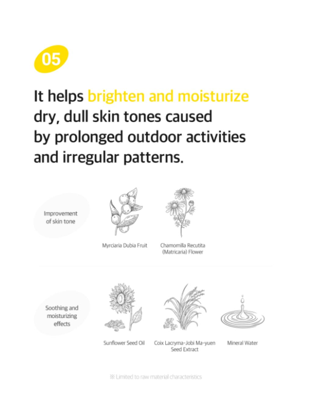 Ariul The Perfect Cleansing Tissue Plus (20EA/100EA)