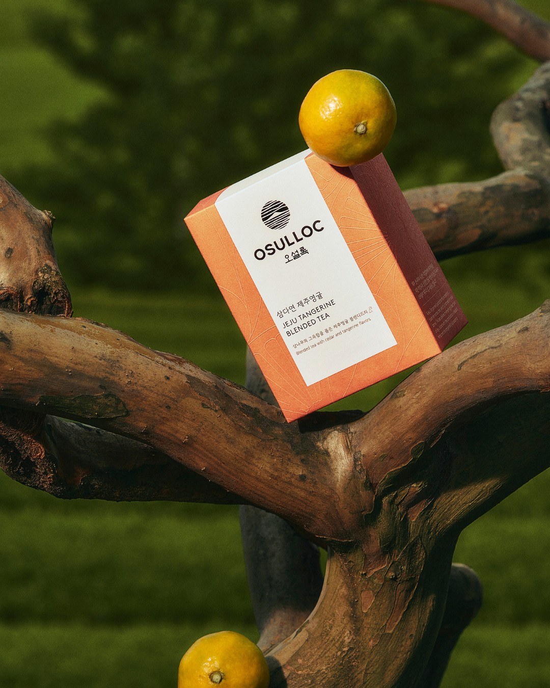 Osulloc Tea (10EA)