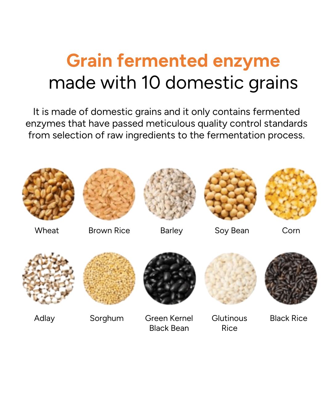 Lavien Perfect Enzyme Balance