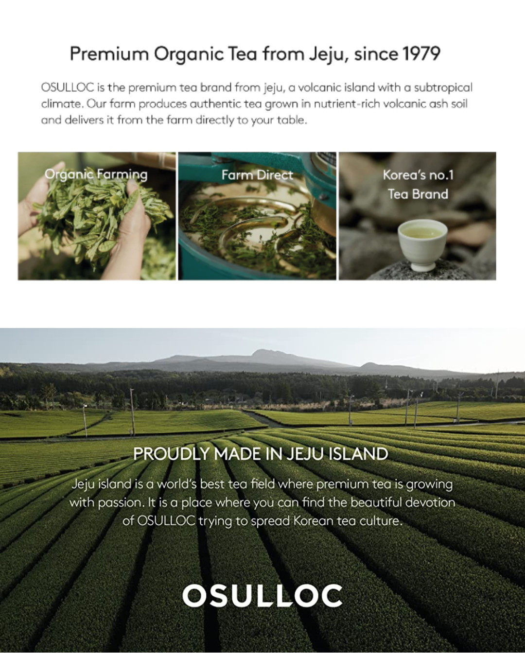 Osulloc Premium Matcha (40g)