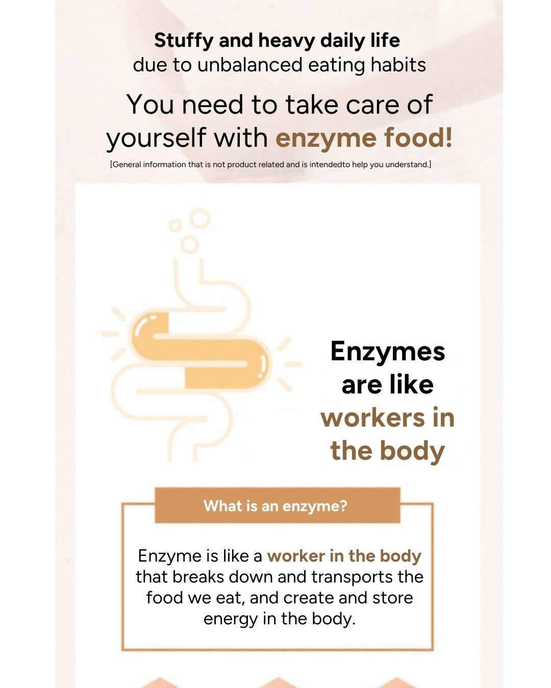 Lavien Perfect Enzyme Balance