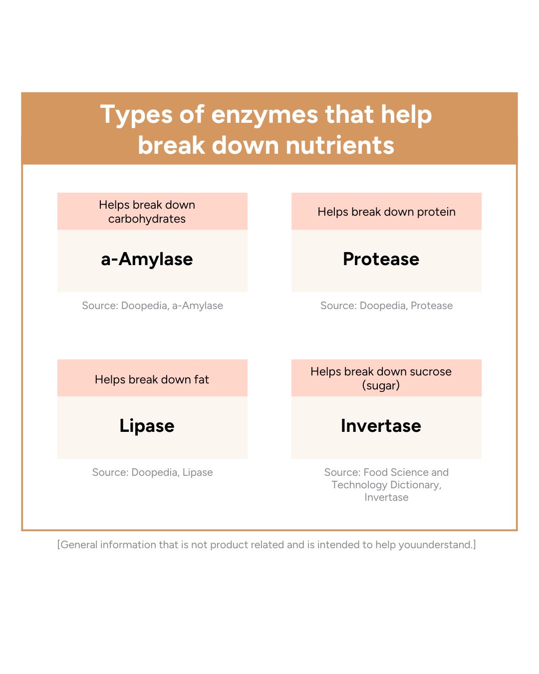 Lavien Perfect Enzyme Balance