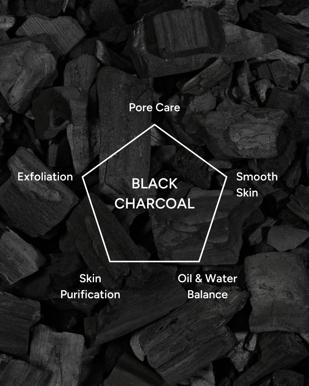 Lavien Advanced Care Black Truffle Modeling Mask