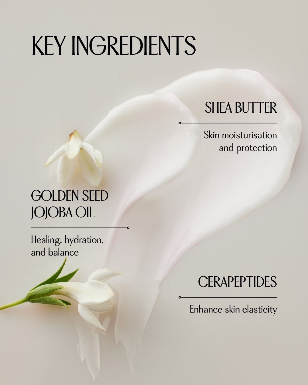 PINKWONDER Jojoba Barrier Plus Cream