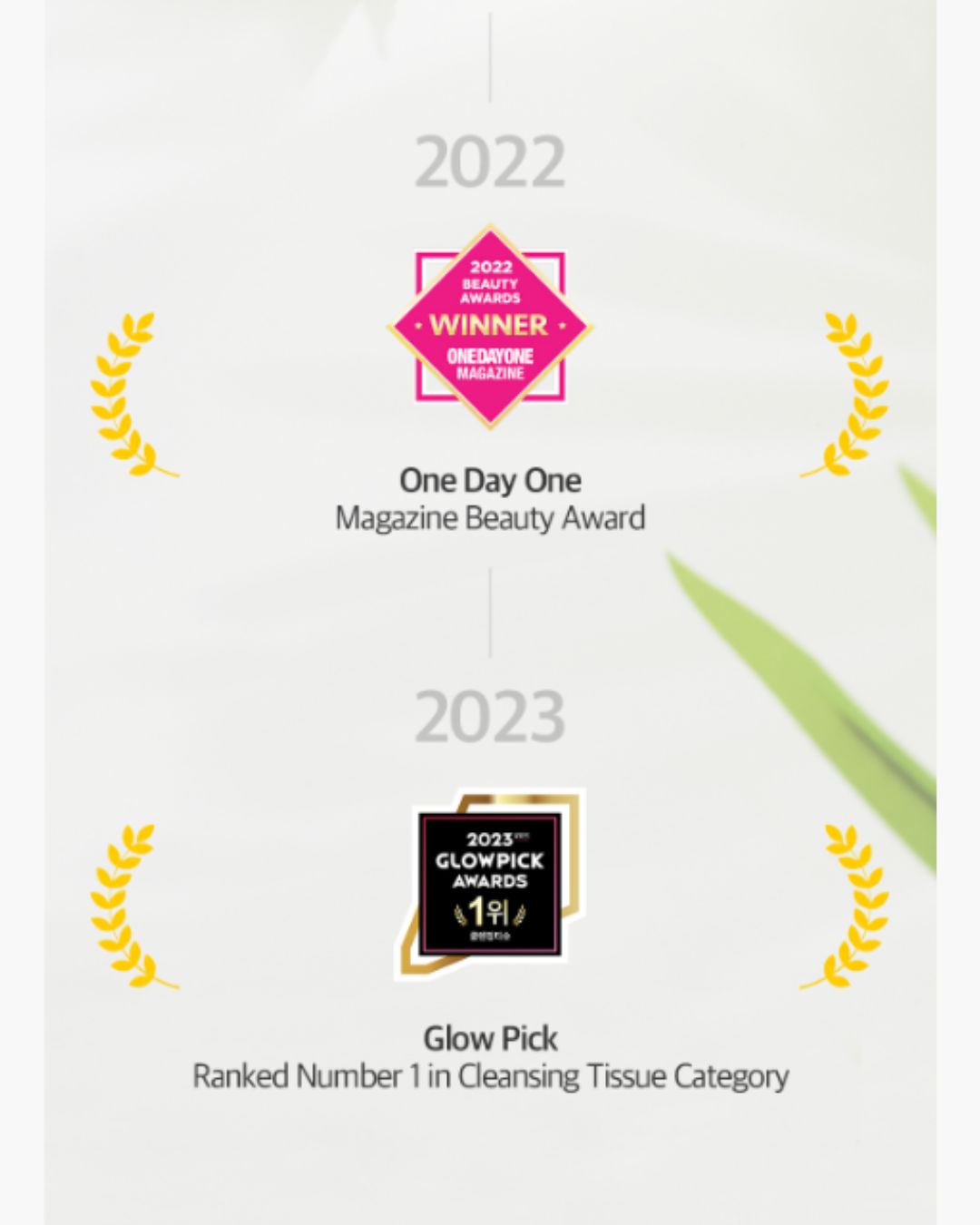 Ariul The Perfect Cleansing Tissue Plus (20EA/100EA)