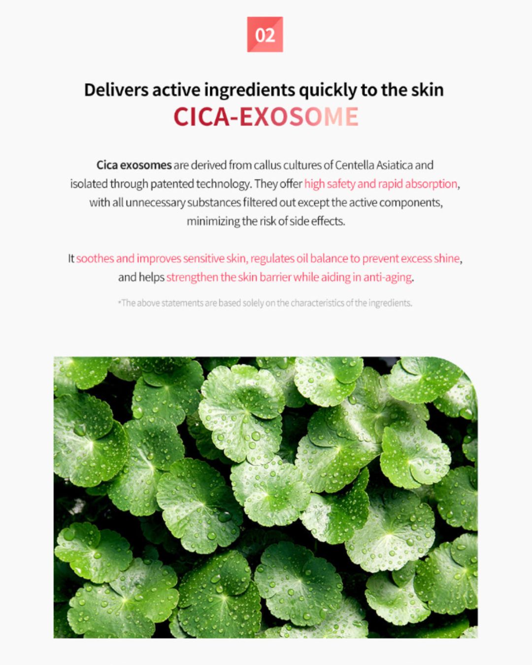 Dermaline PDX5 Skin Booster Total Solution (5ml x 5)