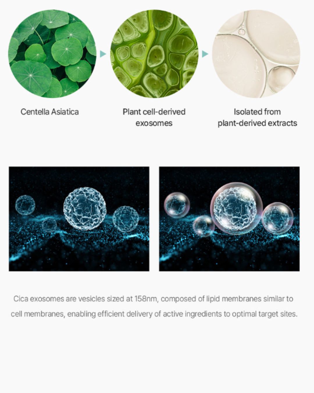 Dermaline PDX5 Skin Booster Total Solution (5ml x 5)