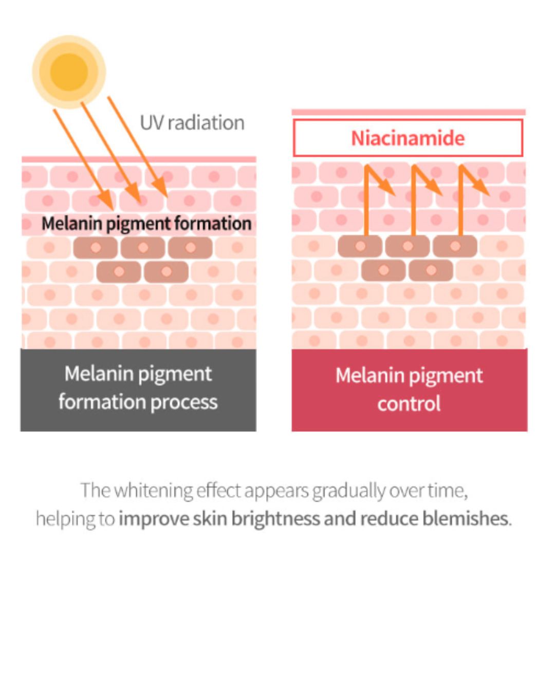 Dermaline PDX5 Skin Booster Total Solution (5ml x 5)