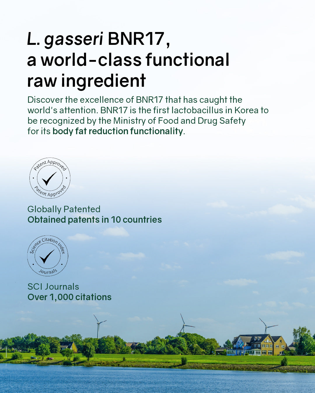BNRThin+ Diet Probiotics