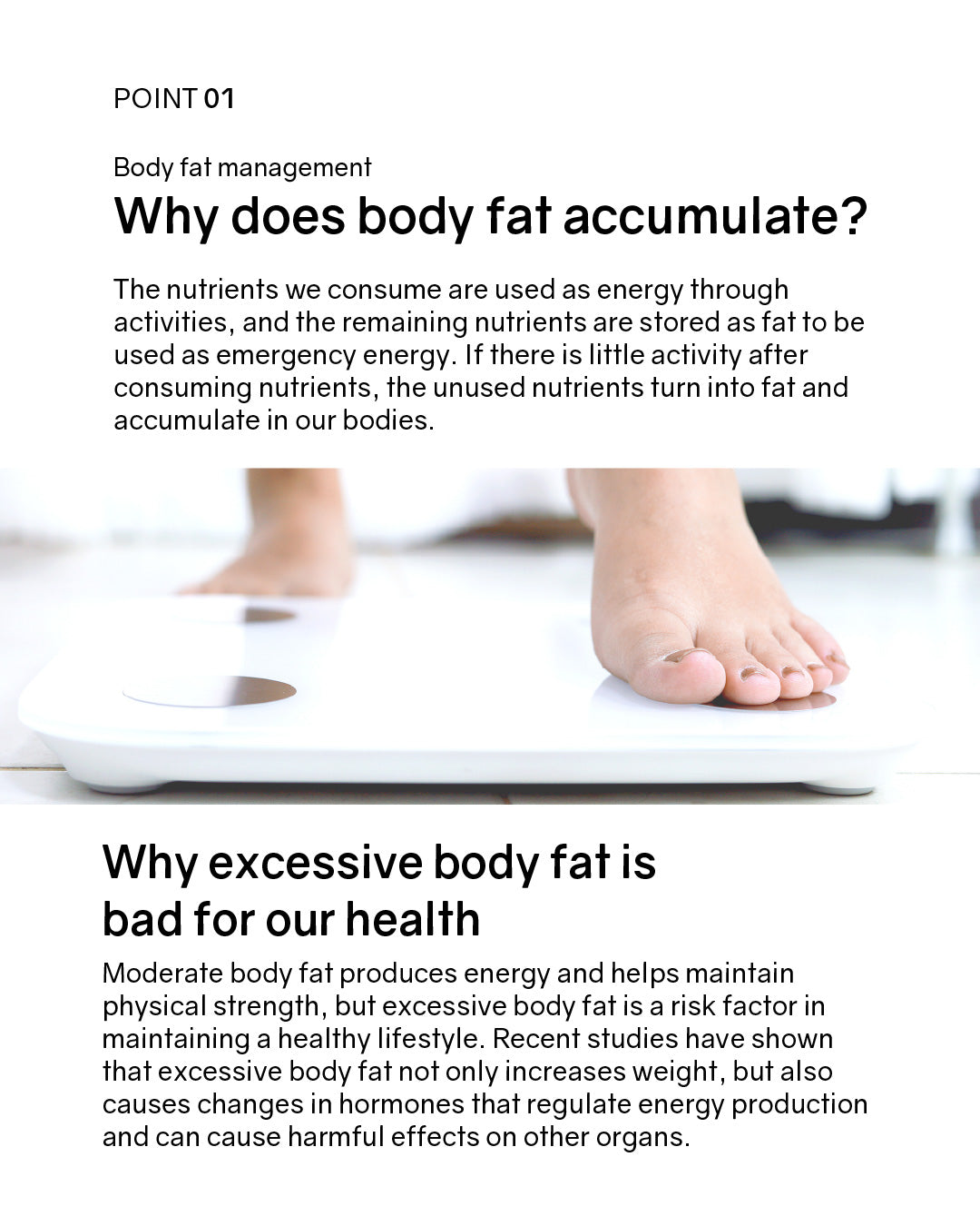 BNR17 Diet Probiotics BNRThin Pro