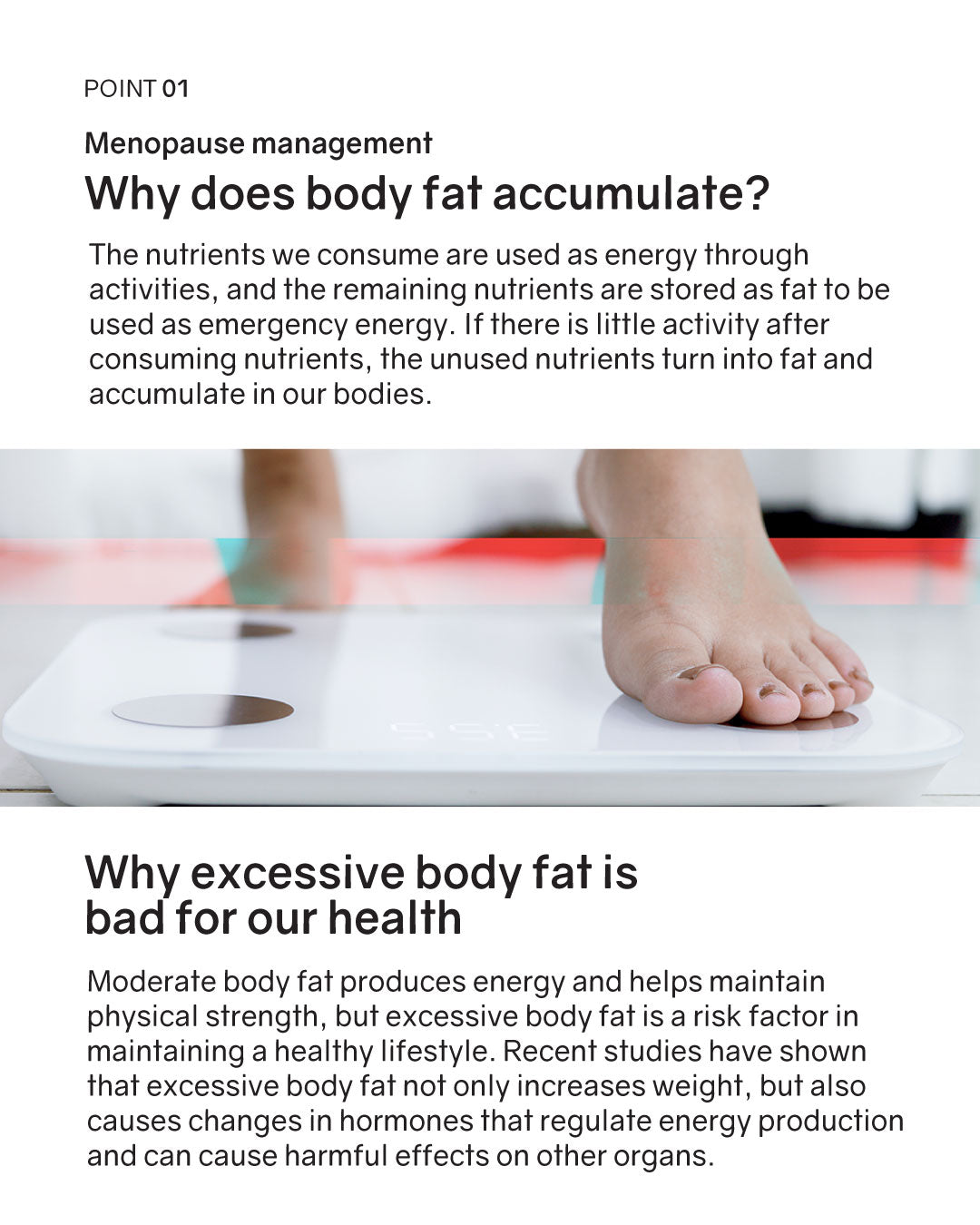 BNRThin Slim+ Probiotics (Room Temp)