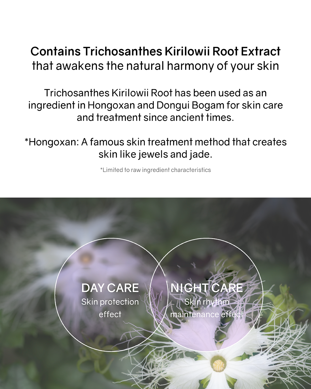 Lilibeth Timeless Glow Cushion/ Refill (Pink/ Purple)