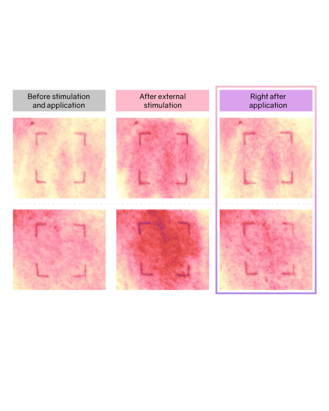 Lilibeth Timeless Glow Cushion/ Refill (Pink/ Purple)