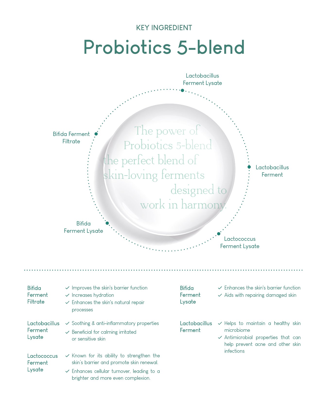 Jung Beauty Purifying Micellar Cleansing Water with Panthenol + Probiotics