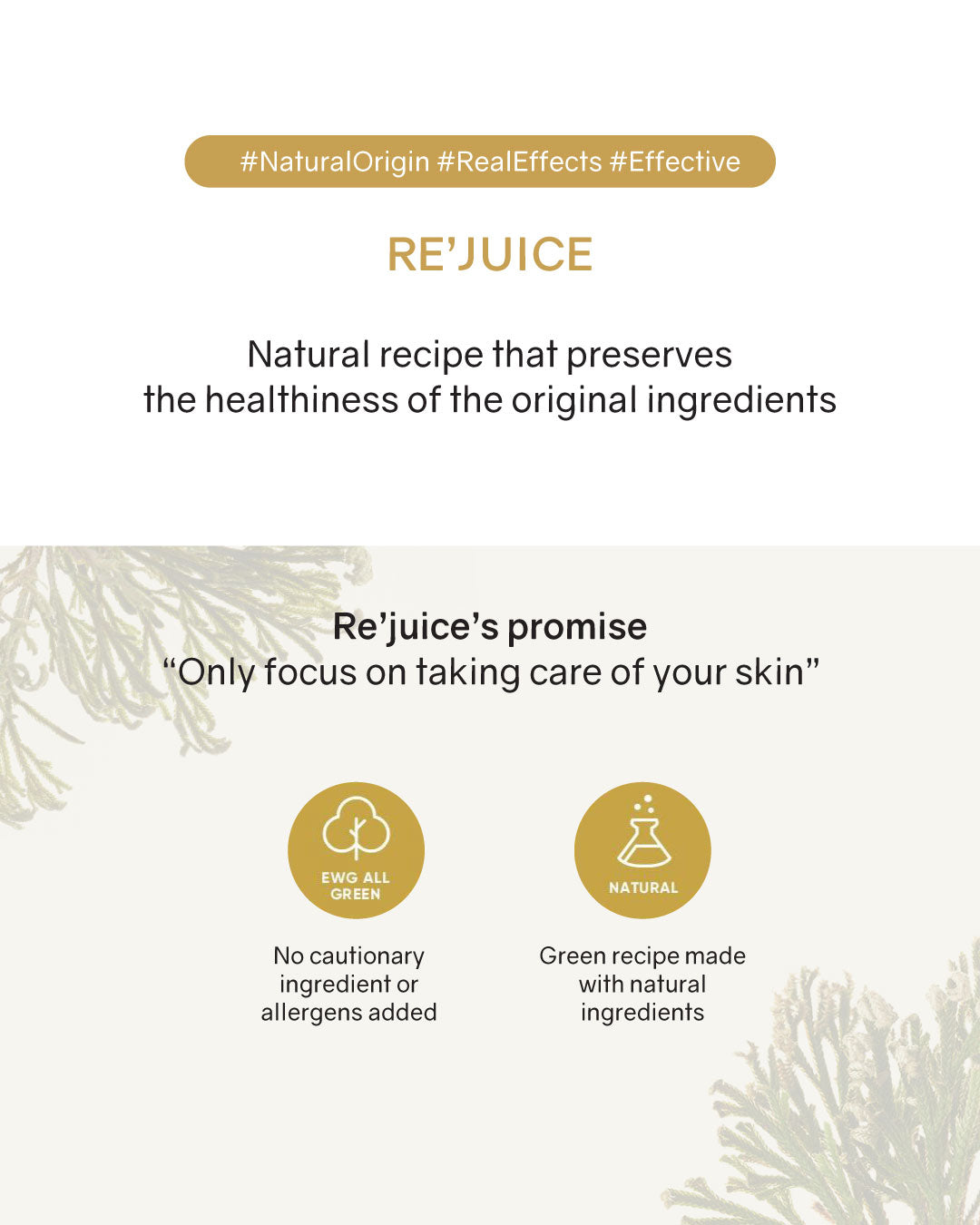 OHIOHOO Re' Juice (True Rose of Jericho)(NEW)