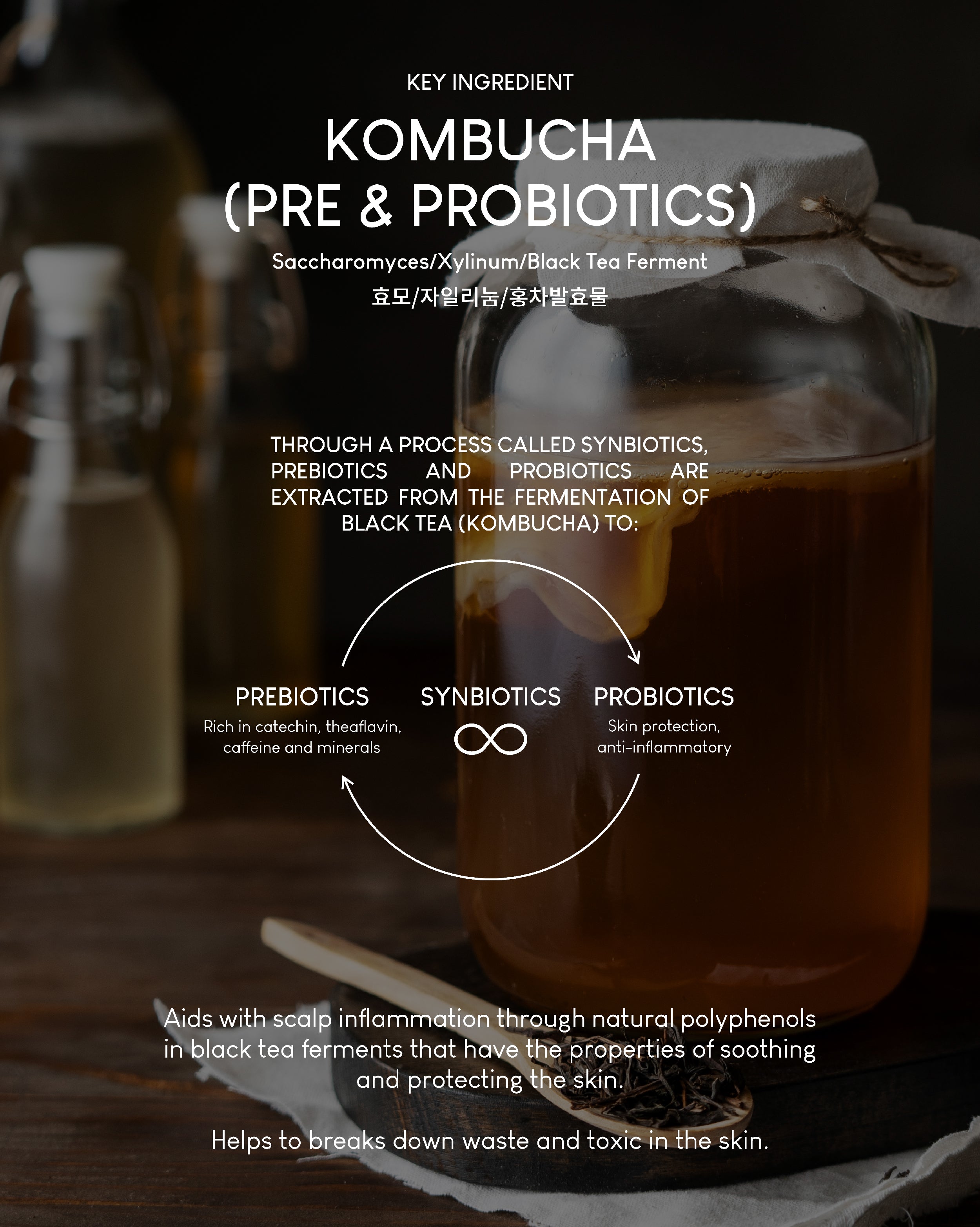 Jung Beauty Damage Repair Keratin Shampoo