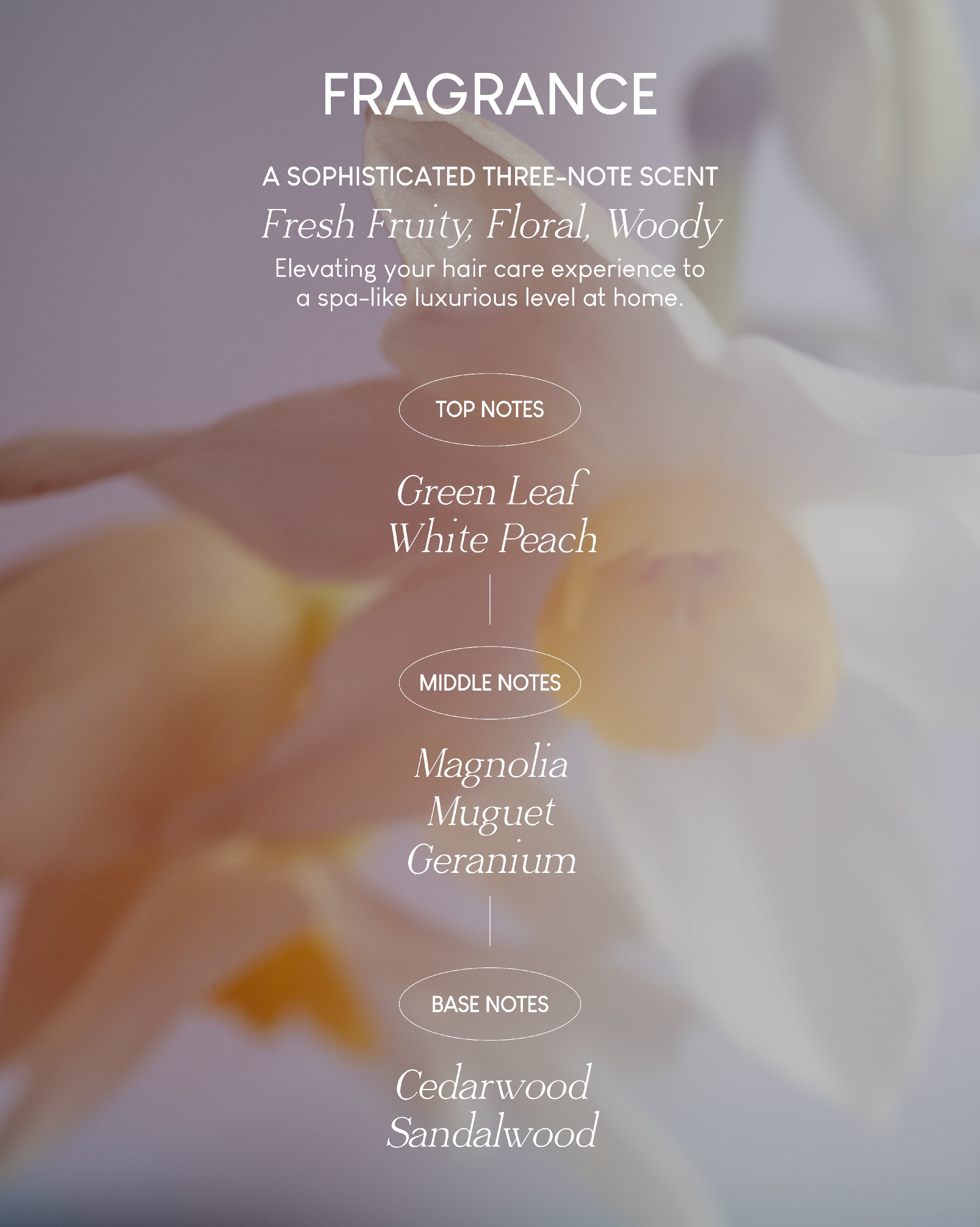 Jung Beauty Damage Repair Keratin Shampoo