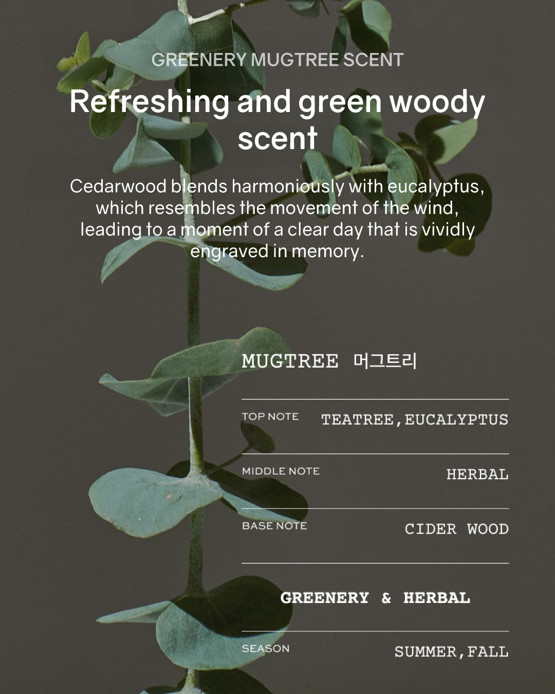 WHIPPED Vegan Pack Scrub (210g)