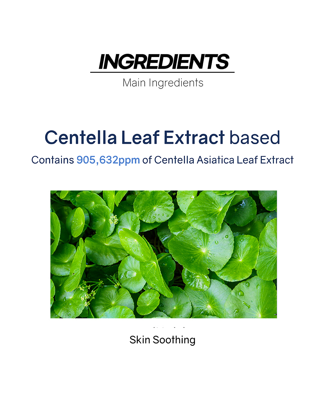 Lavien Centella Creaming Toner
