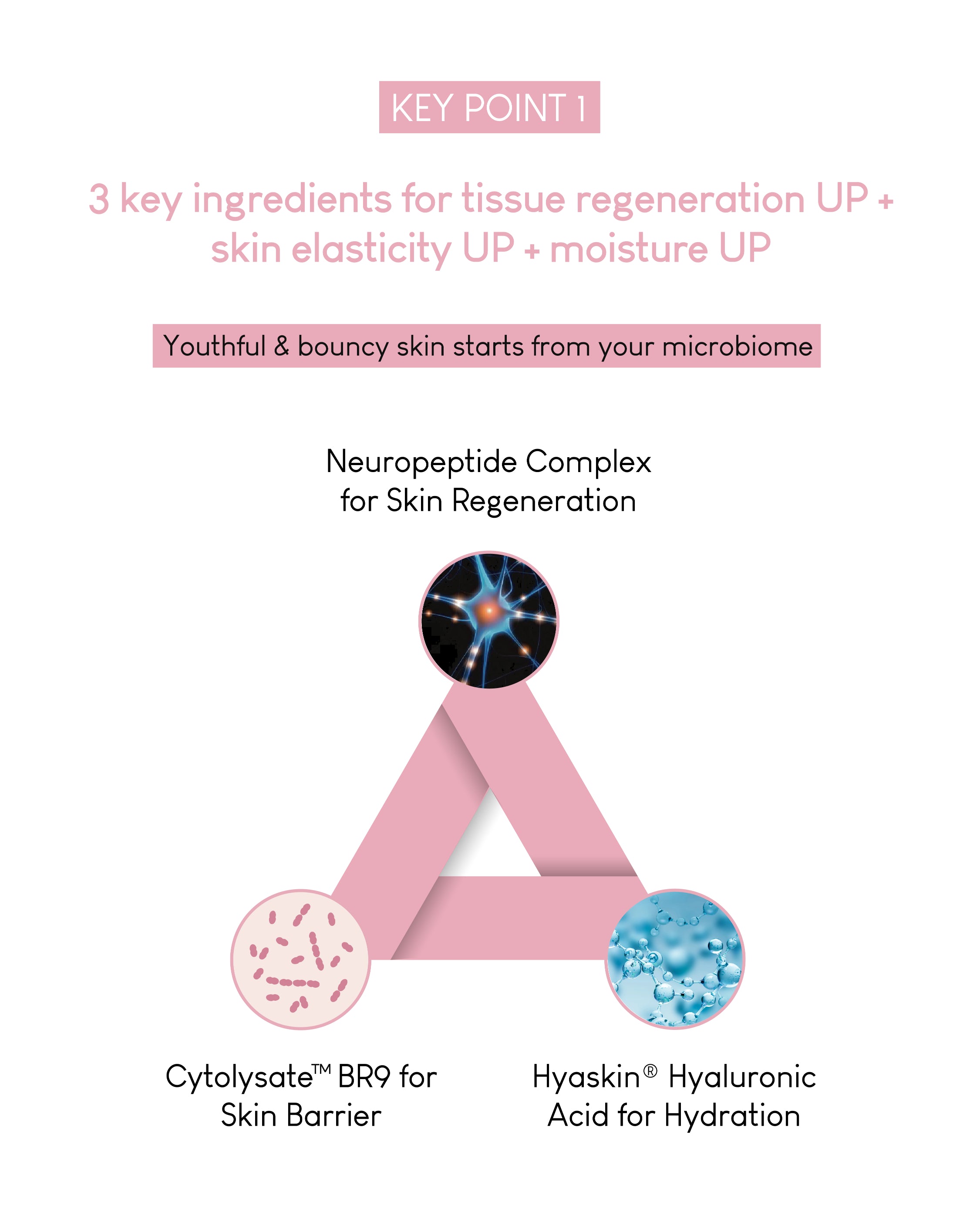 Jung Beauty Probiotics & Neuropeptide Power Booster Capsules