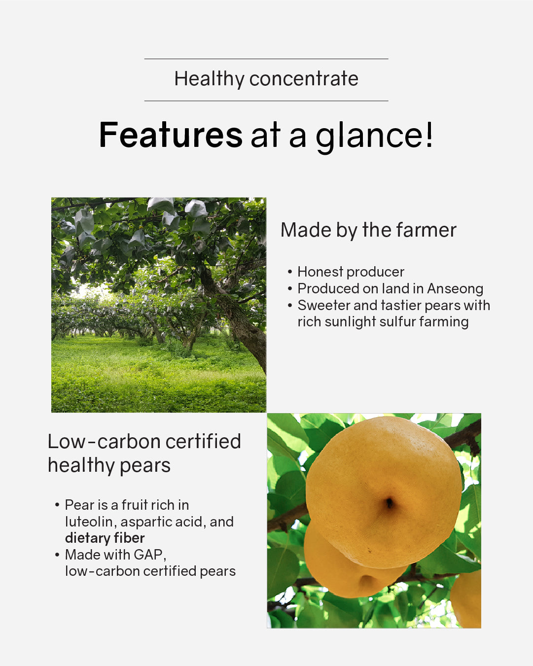 Cheongsum Fermented Pear & Bellflower Root Concentrate