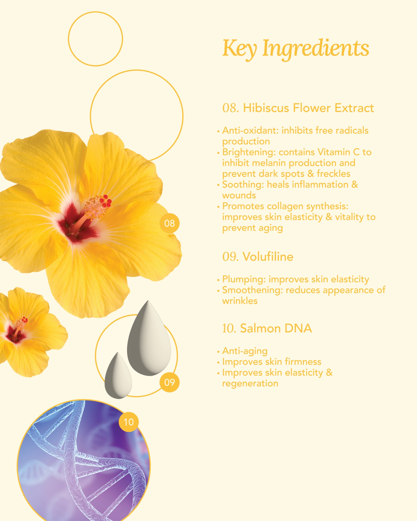 Jung Beauty Probiotics Firming & Brightening Eye Serum