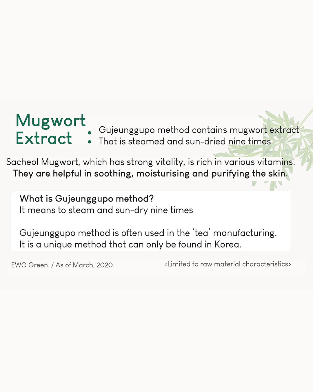 Lavien Perfect Balance Daily Cleansing Foam