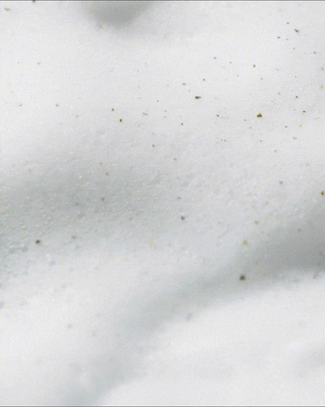 L:MOT Premium All In One Capsule Detergent