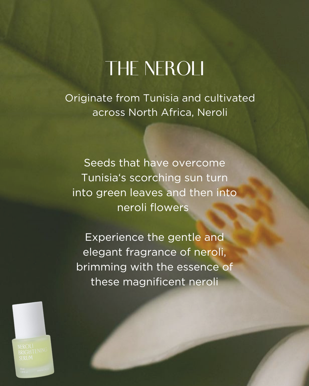 [PROMO] PINKWONDER Neroli Brightening Serum