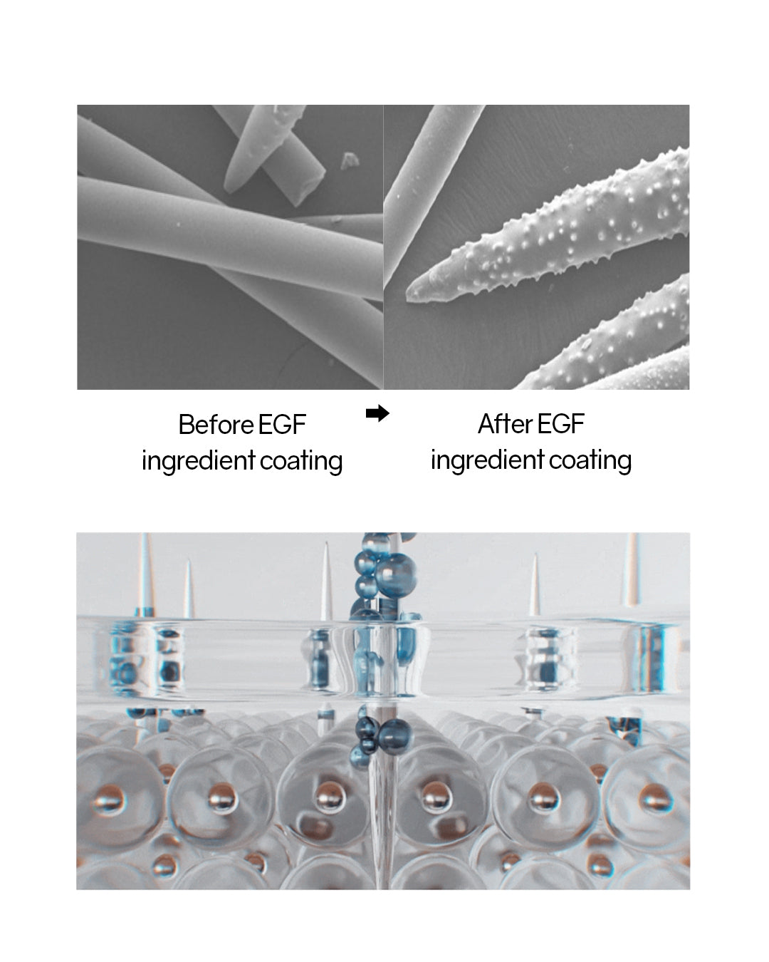 Lavien EGF Micro Pin Ampoule