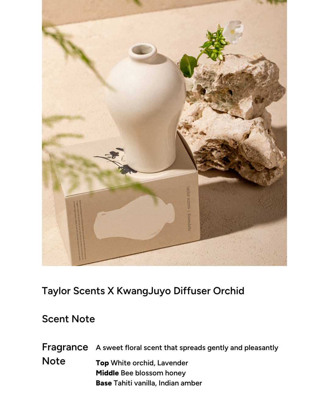 [PROMO] taylor scents x Kwangjuyo Maebyeong Diffuser (4 types)
