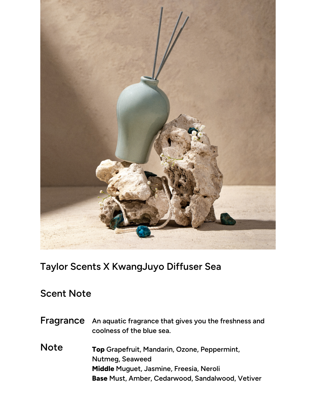 [PROMO] taylor scents x Kwangjuyo Maebyeong Diffuser (4 types)