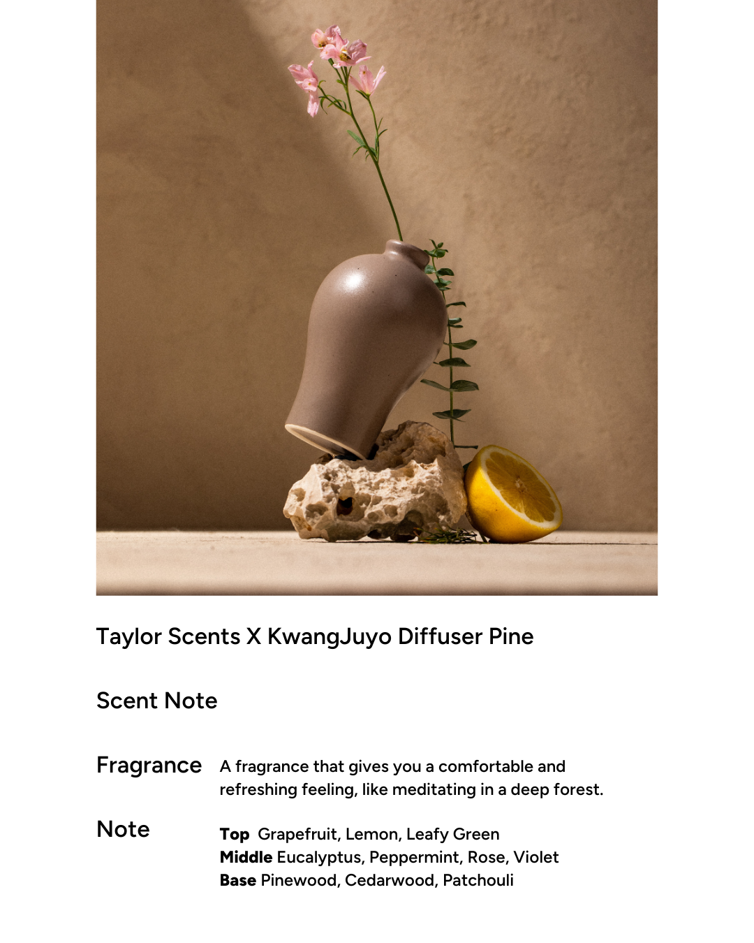 [PROMO] taylor scents x Kwangjuyo Maebyeong Diffuser (4 types)