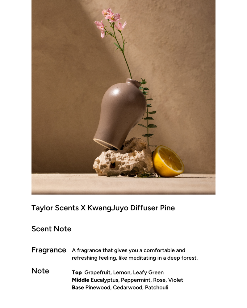 taylor Scent x Kwangjuyo Maebyeong Diffuser (4 types)