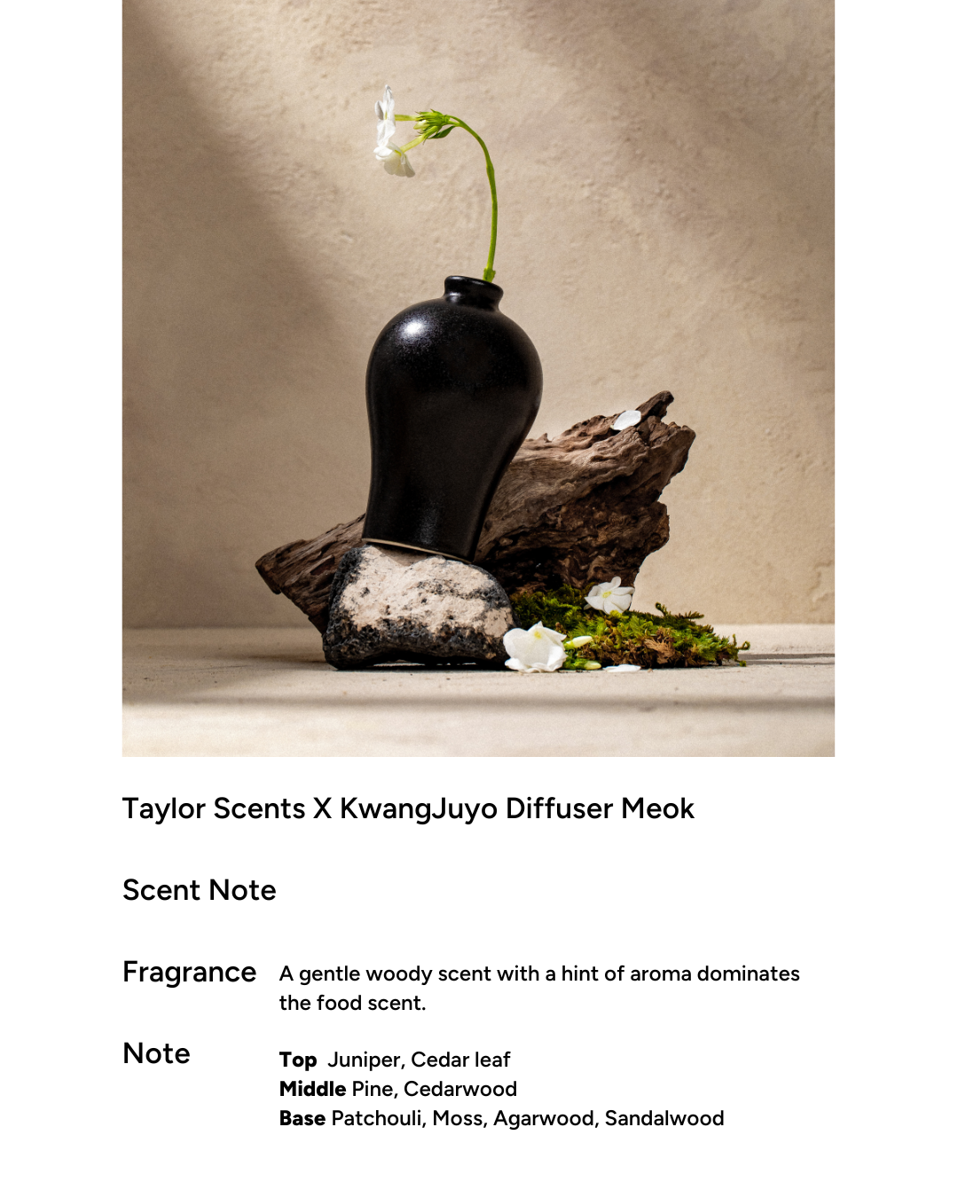 [PROMO] taylor scents x Kwangjuyo Maebyeong Diffuser (4 types)