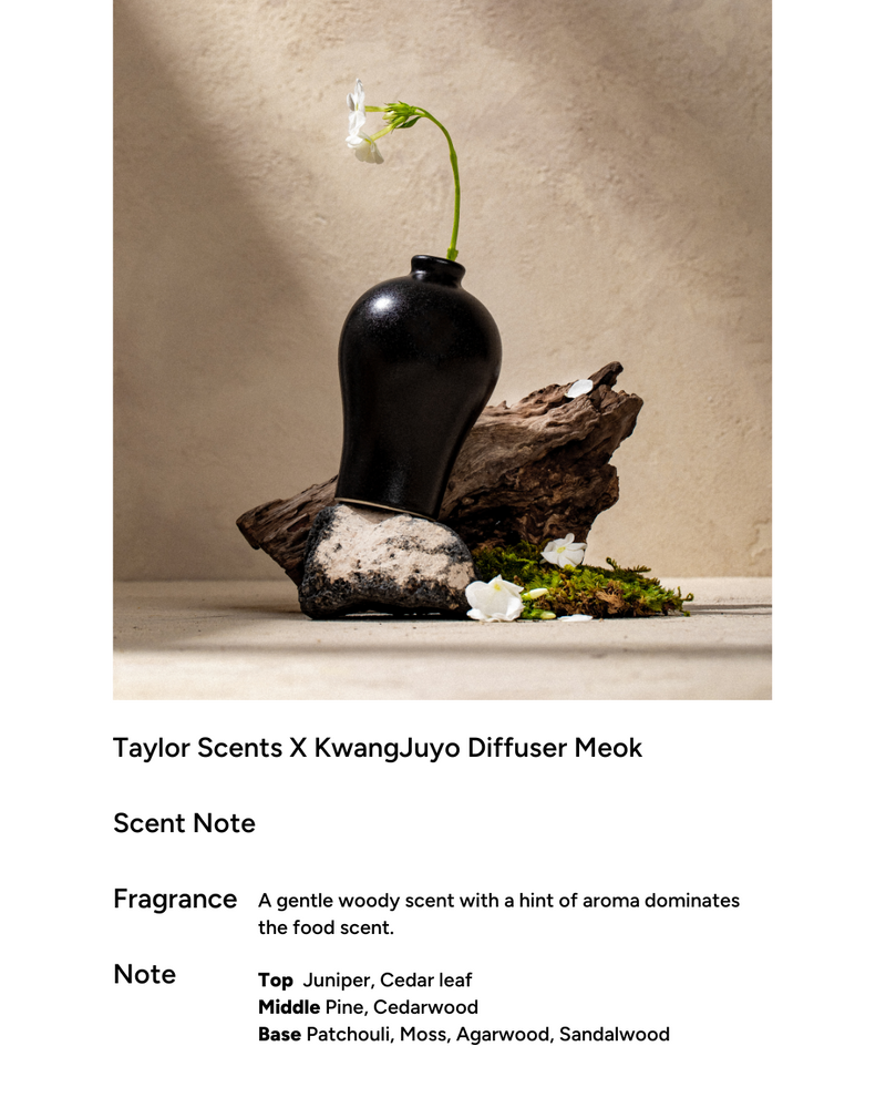 taylor Scent x Kwangjuyo Maebyeong Diffuser (4 types)