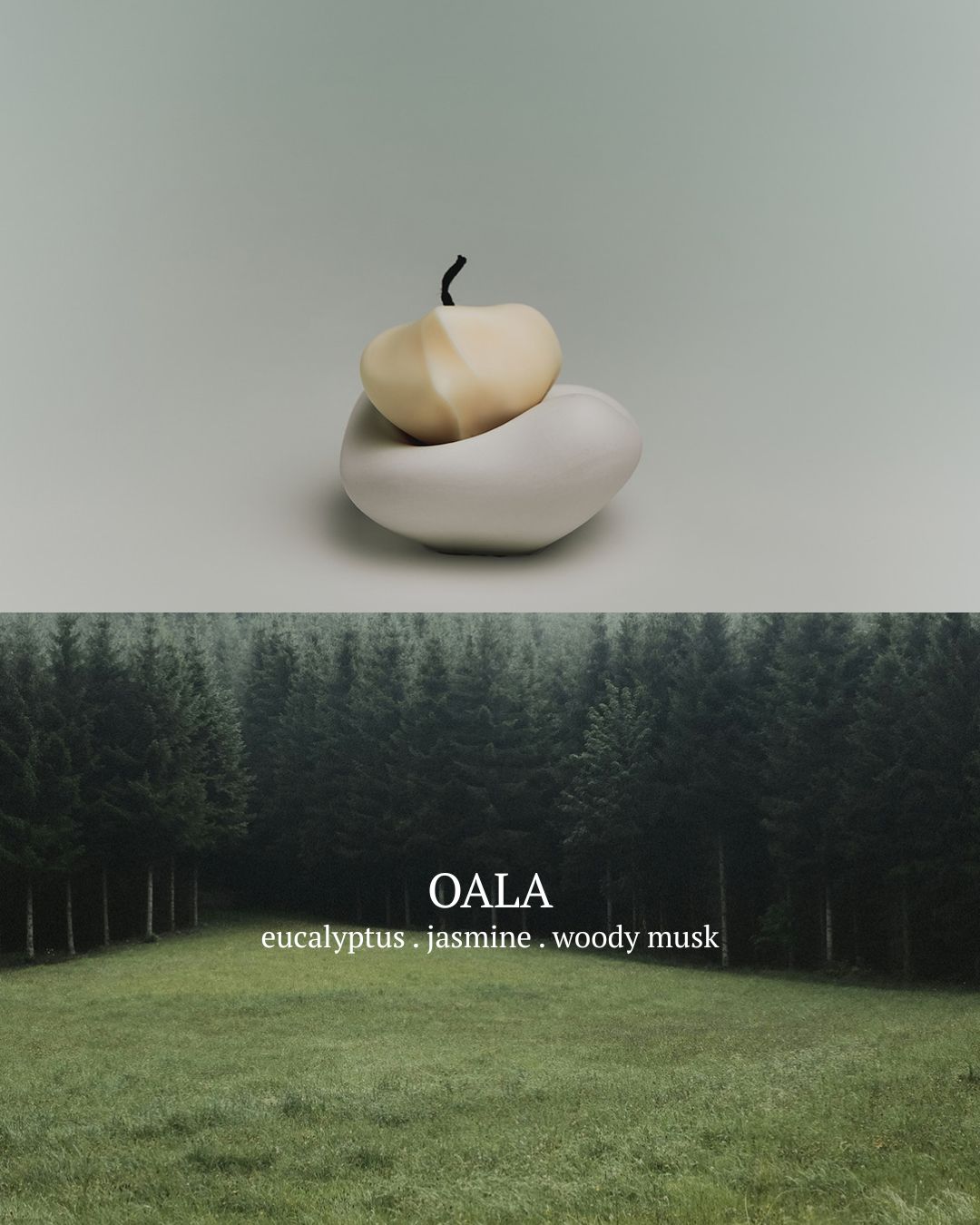 [PREORDER] Toai Diffusers (Dispatch Date: 23-27 Nov)