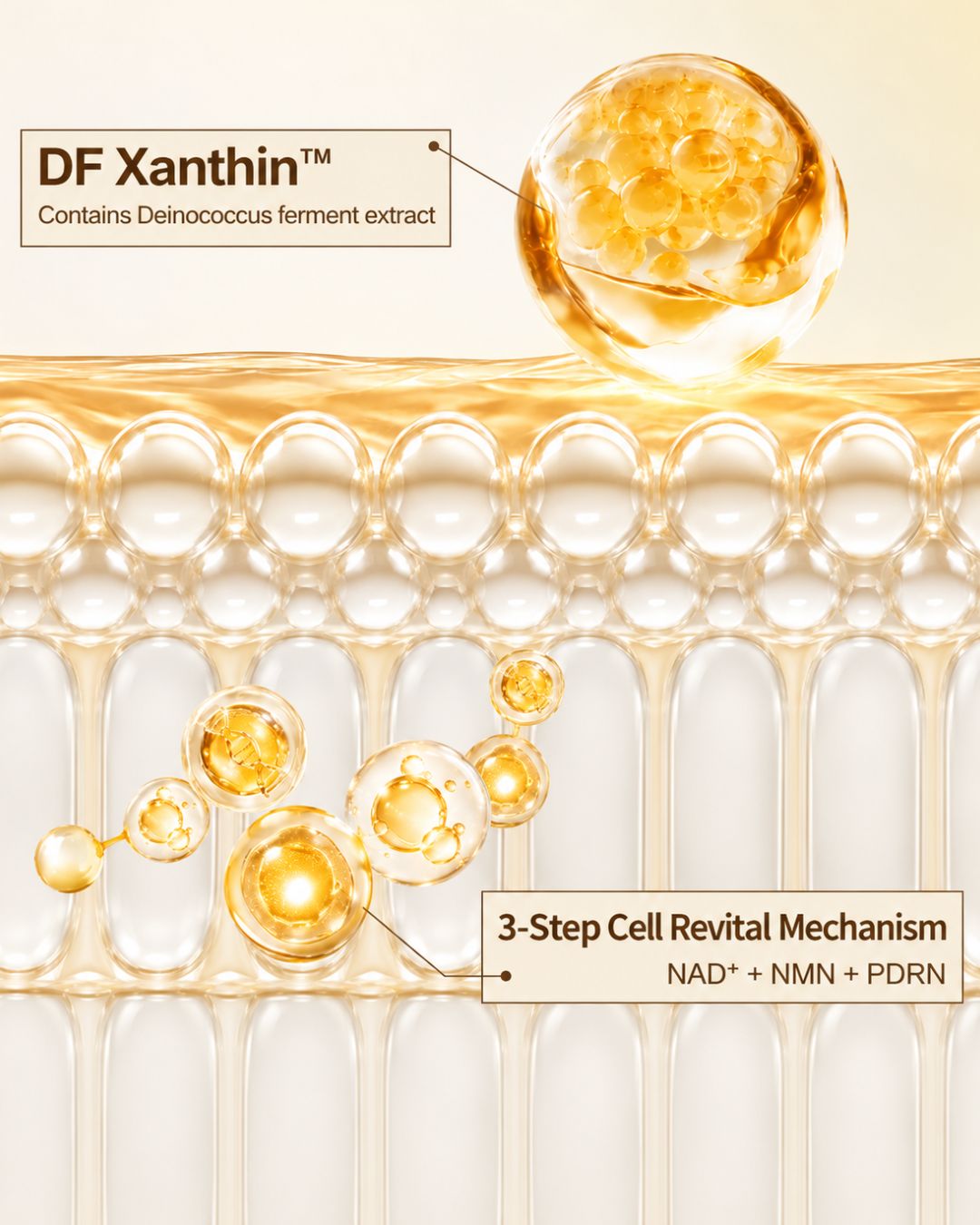 [PROMO] Lavien D.N.A Cell Revital Firming Cream