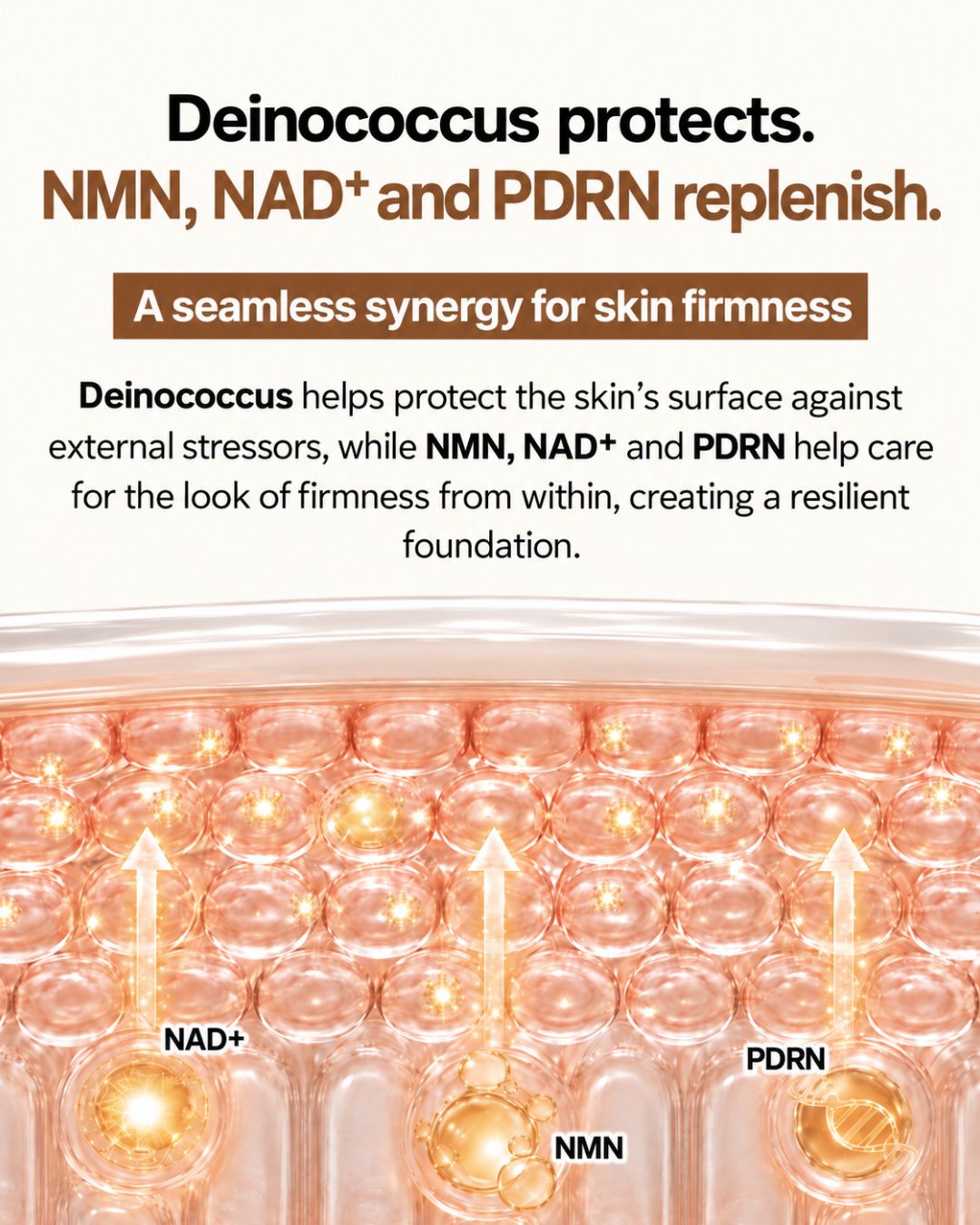 [PROMO] Lavien D.N.A Cell Revital Firming Cream