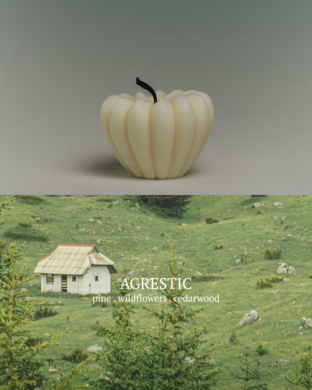 [PREORDER] Toai Diffusers (Dispatch Date: 23-27 Nov)