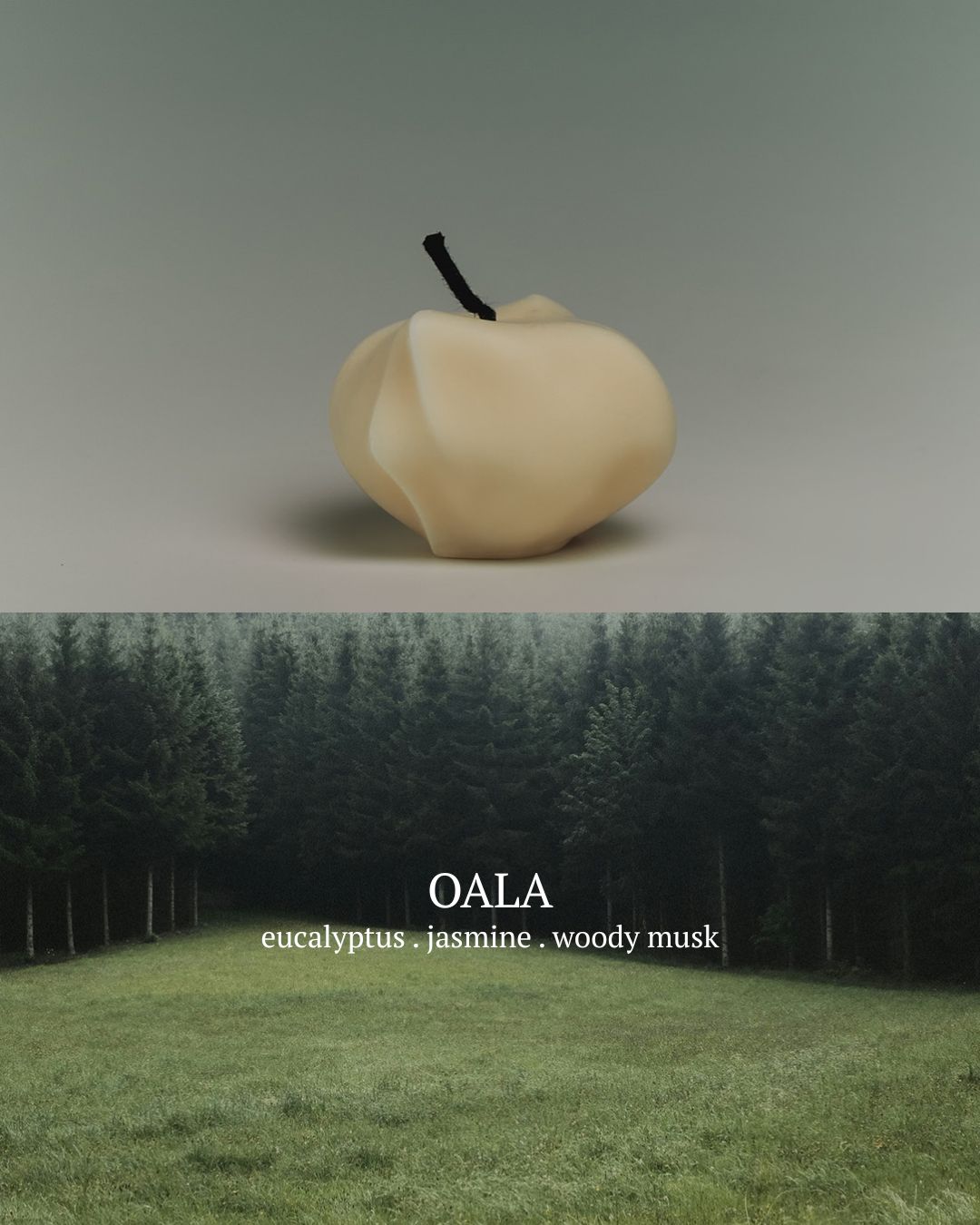 [PREORDER] Toai Diffusers (Dispatch Date: 23-27 Nov)