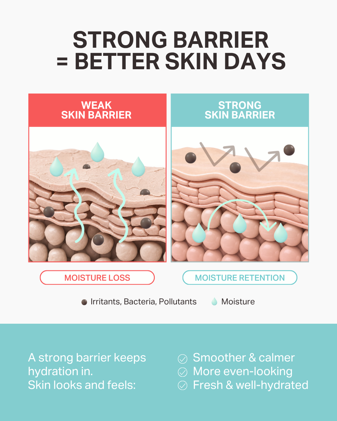 [PROMO] Jung Beauty Hydra-Barrier Ginseng Toner