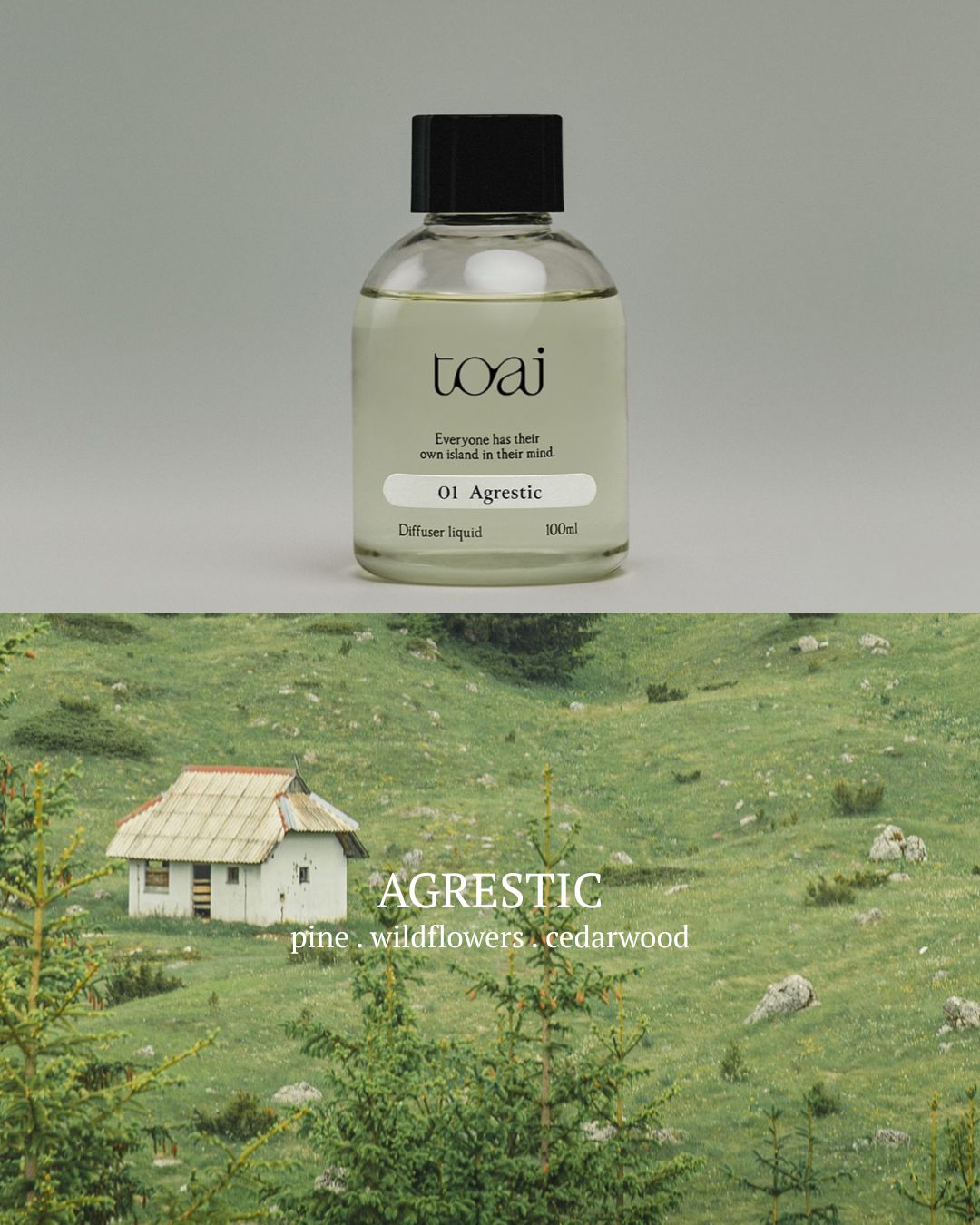 [PREORDER] Toai Diffusers (Dispatch Date: 23-27 Nov)