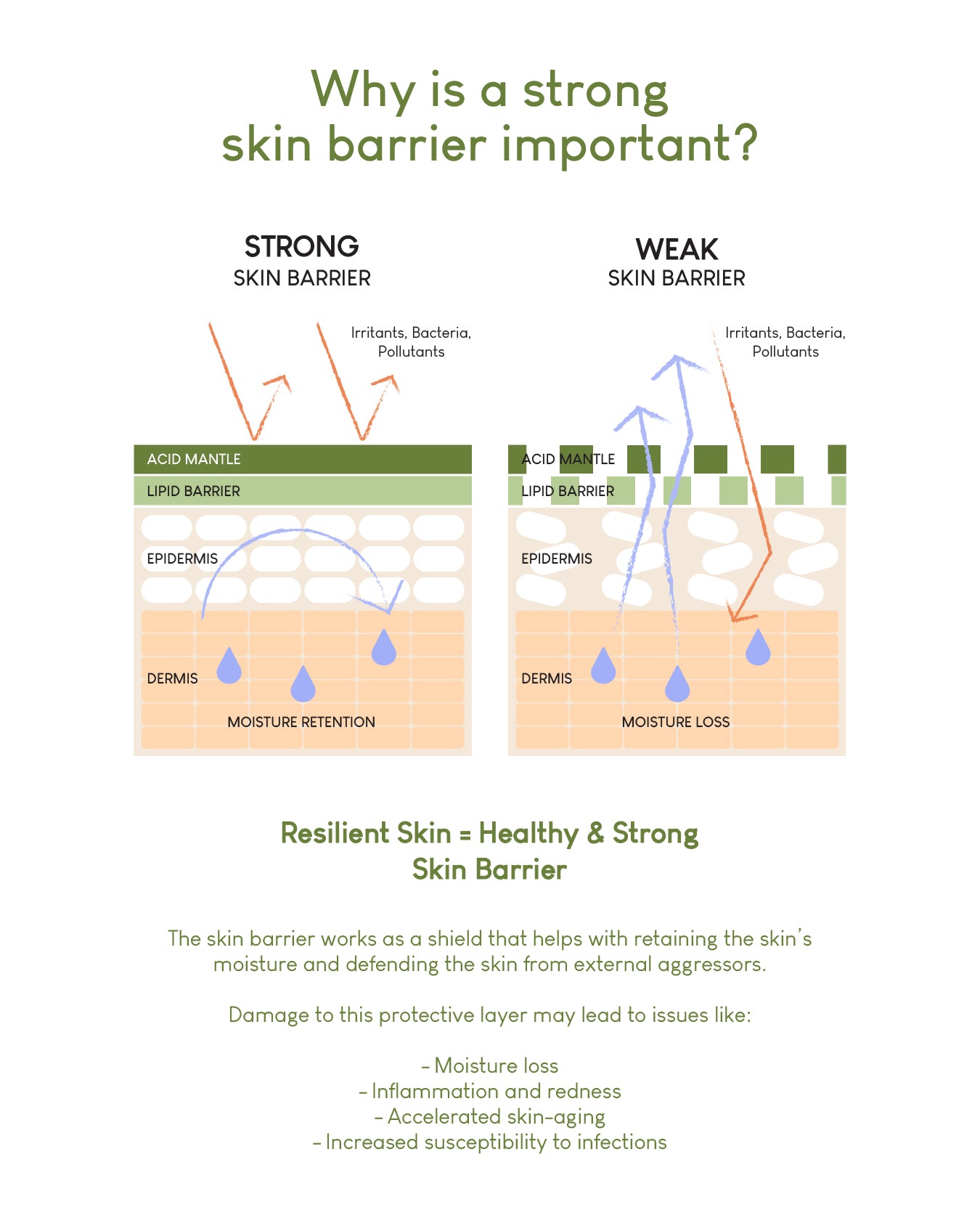 [Online Exclusive] Jung Beauty Strong Skin Barrier Sets