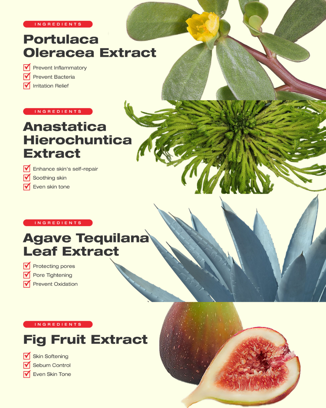 [PROMO] laundryou Soft Body Red Glove Clean (5EA)