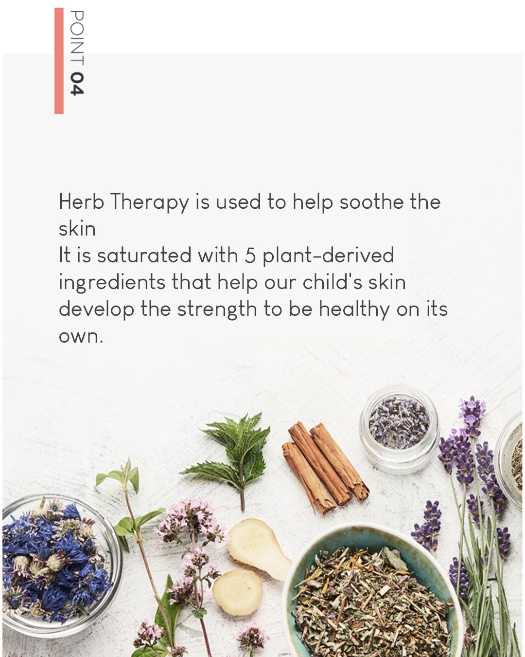 [PROMO] Botanical Therapy Cleansing Therapy Pure Baby Shampoo