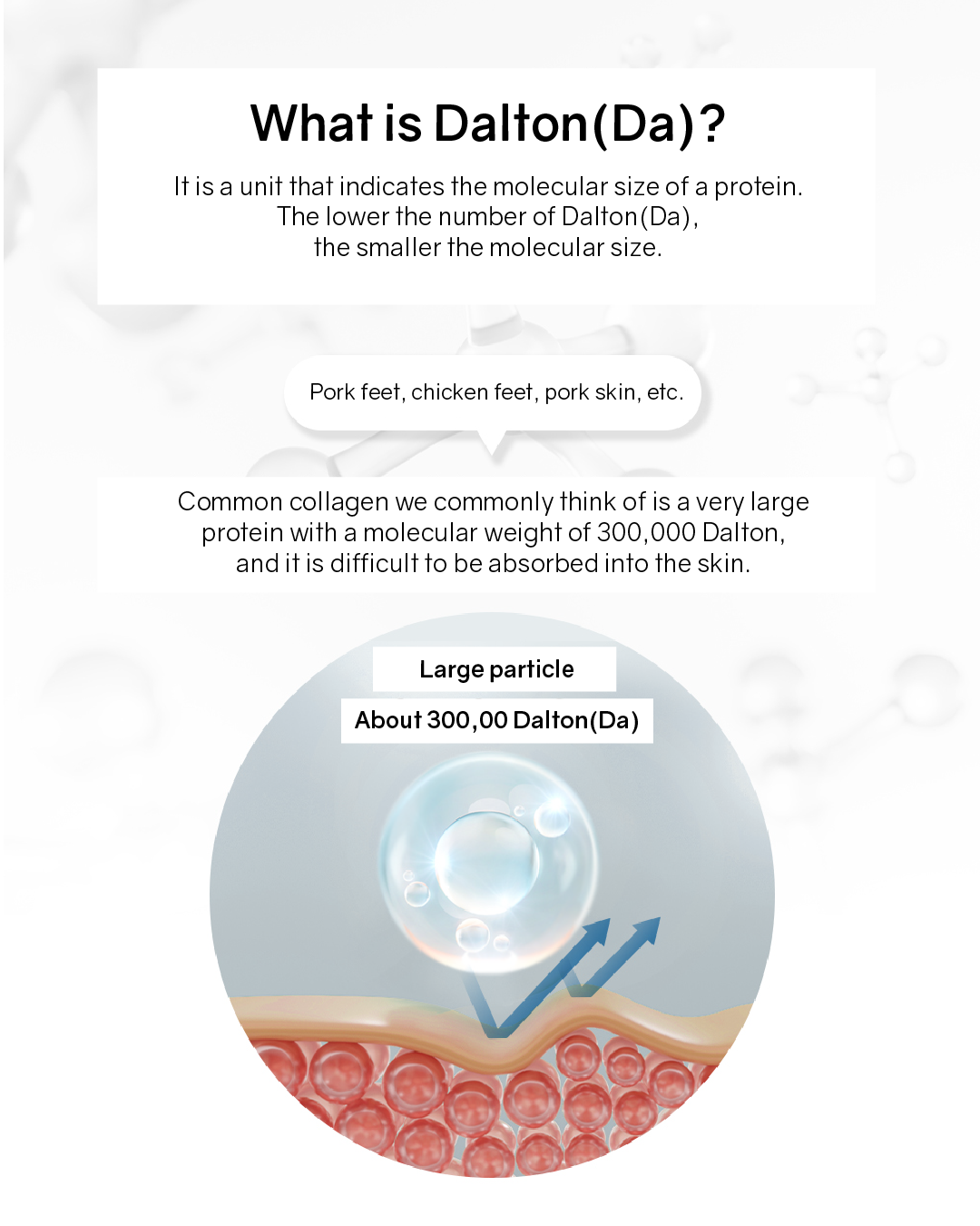 [PREORDER] Lavien Collagen Professional Program