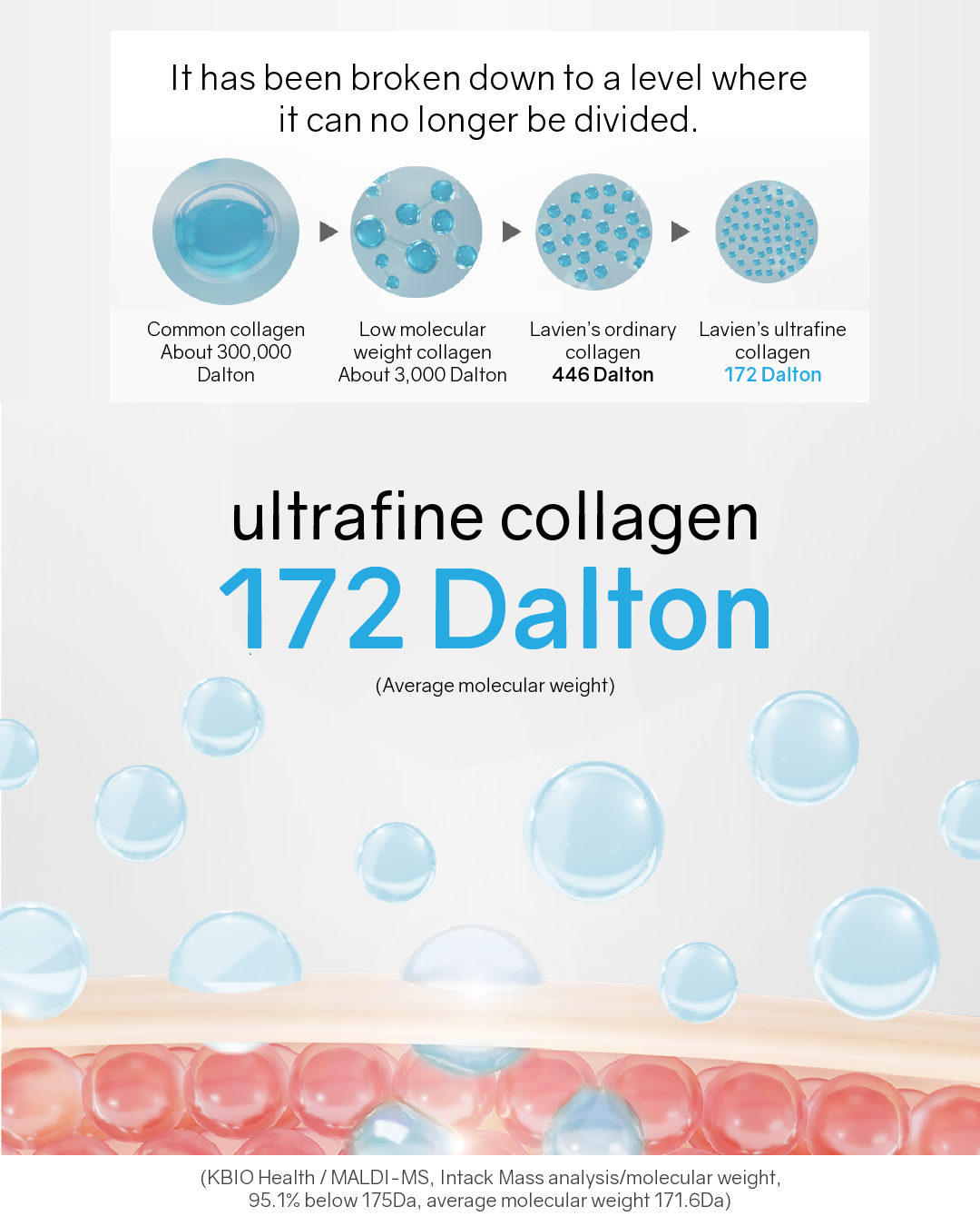 [PREORDER] Lavien Collagen Professional Program
